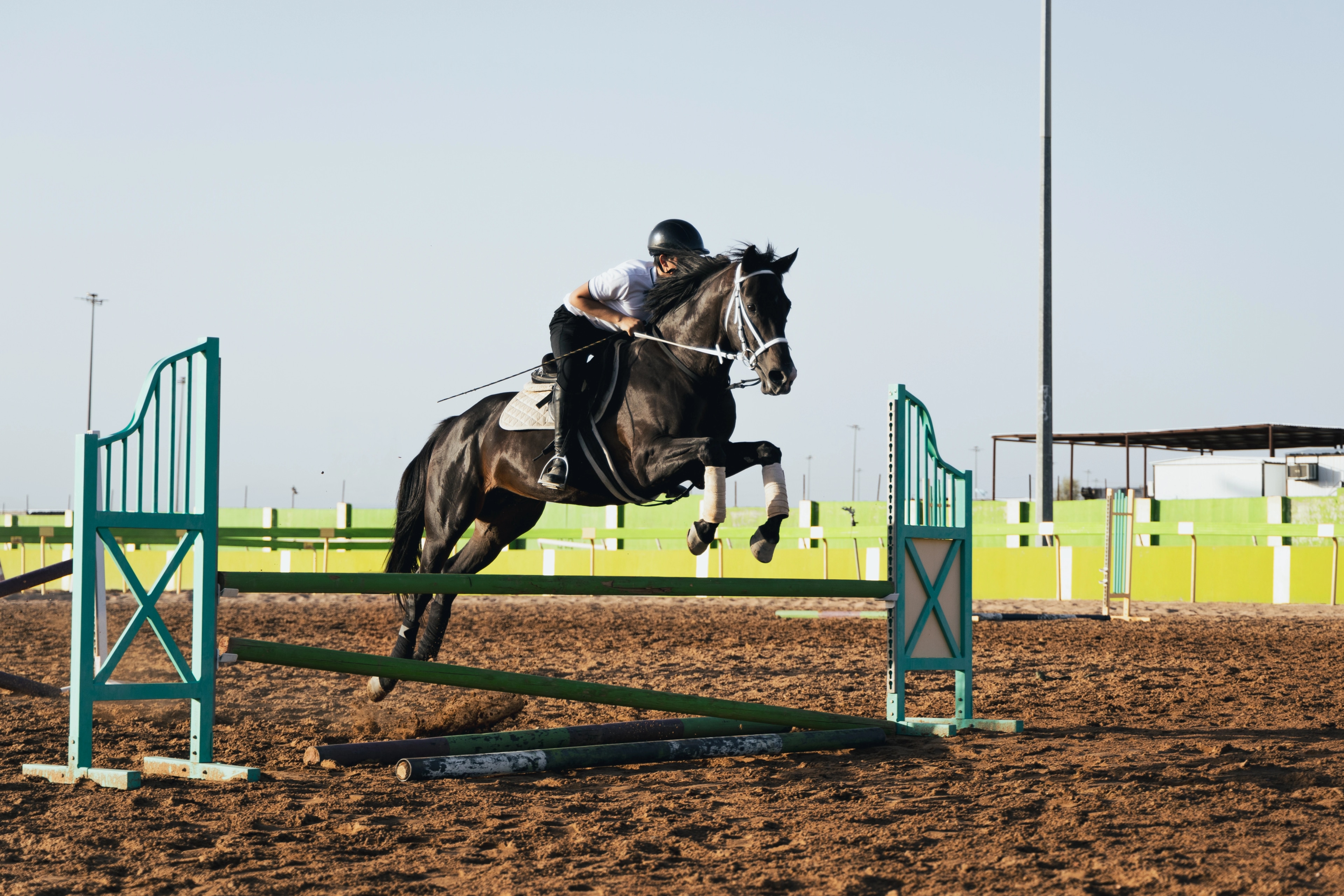 A horse and rider clearing a fence at Albarraq